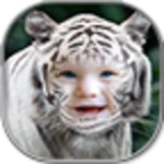 tiger photo frames android application logo